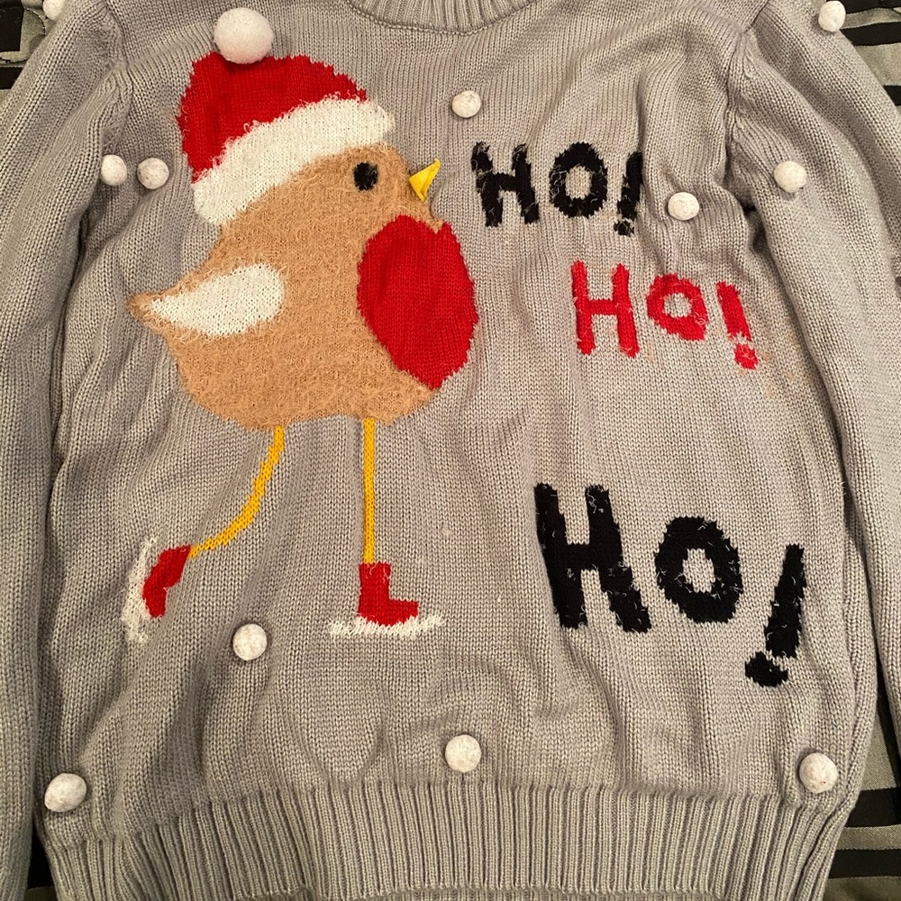 Christmas Sweater and Blazer